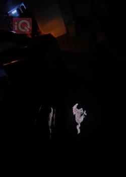 فورد موستانج